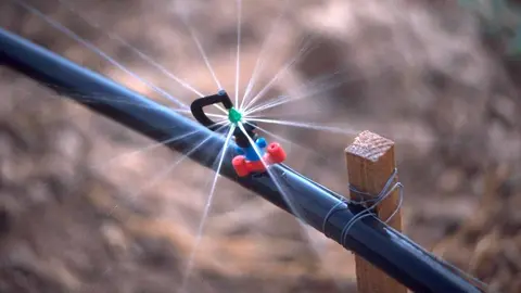 Aspersor regando un cultivo