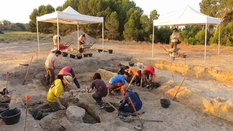 Excavaciones arqueológicas del Proyecto Belsinon