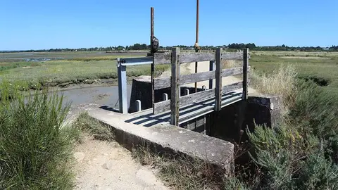 Compuerta de riego en una zona agrícola Foto Freepik