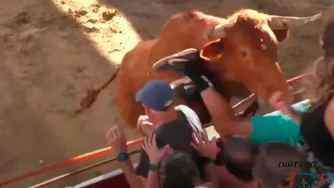 toro capón salta a la grada en cadreita