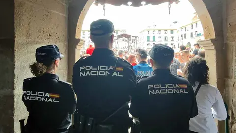 efectivos de la policía nacional en las fiestas de santa ana en tudela