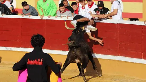 tensión y revolcones en las vaquillas de Tudela (10)