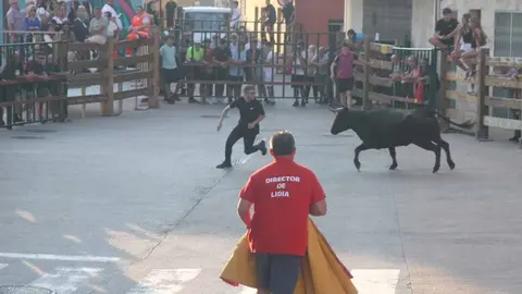 Almuerzo, vacas y toricos simulados en las Juventudes de Cortes 2025 (19)