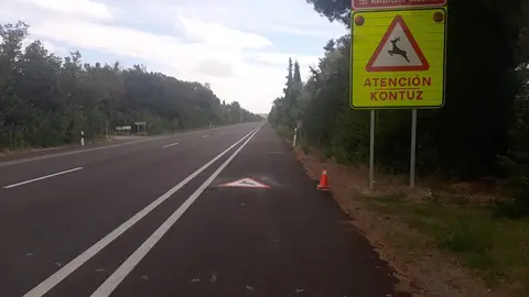Nueva señalización horizontal y vertical en la carretera NA-134