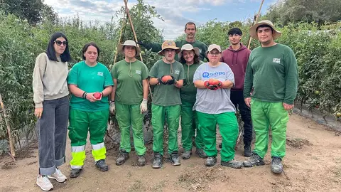 Usuarios del Centro Ocupacional Traslapuente muestran algunos de los tomates cultivados en el centro