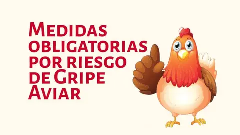 Prevención por riesgo de gripe aviar
