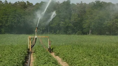 Concentración parcelaria en Corella. Foto. Ayto Corella