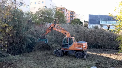 Labores de desbroce y limpieza de los márgenes del río Queiles en Tudela
