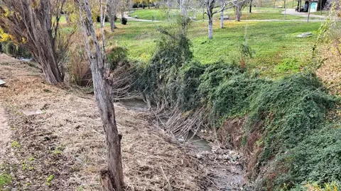 Destrucci&oacute;n del sotobosque y vertido de basura al Queiles. Foto Ecologistas en Acci&oacute;n