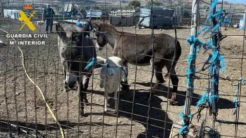 Investigaci&oacute;n por maltrato animal en la Ribera de Navarra
