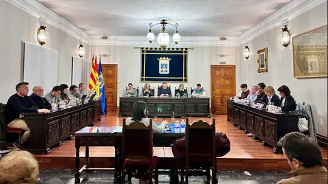 Tarazona Pleno Ordinario Febrero 2026