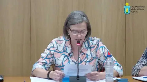 Pleno de Cortes del 27 de febrero 2026