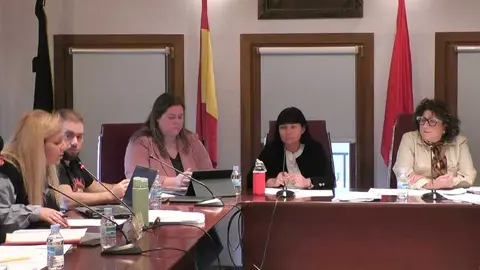 Pleno de Villafranca del 26 de febrero 2026