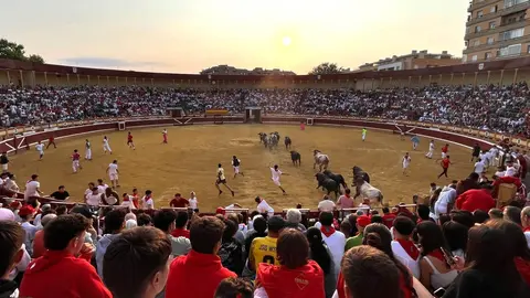 Final del segundo encierro de las fiestas de Tudela 2026. 
