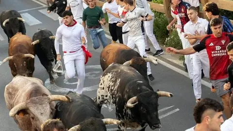 Tercer encierro de las fiestas de Tudela 2026. Foto Facebook Toros en Navarra