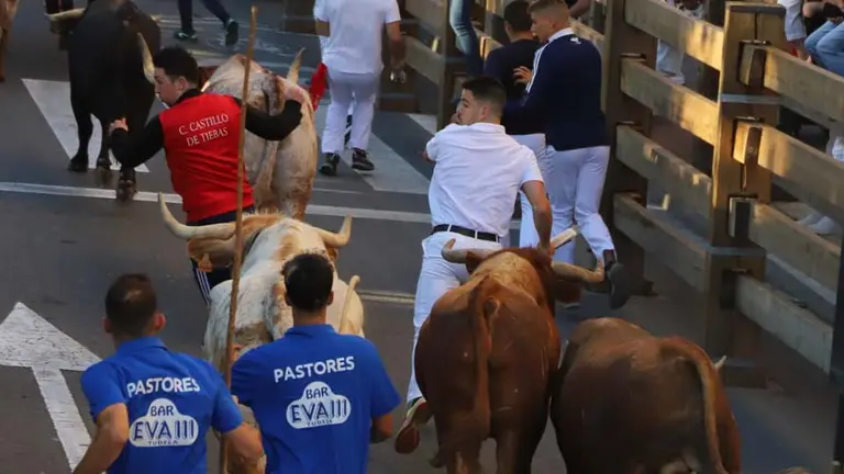Segundo Encierro Fiestas de Tudela (18)