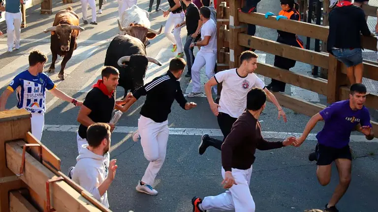 tercer encierro fiestas de Santa Ana (27)