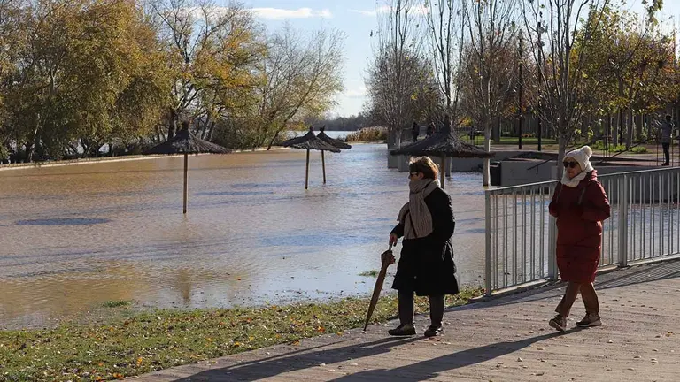 crecida río ebro tudela (6)