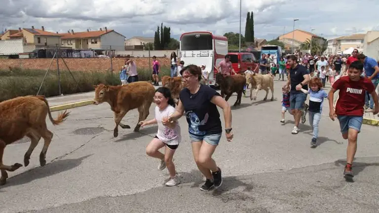 Fotos Trashumancia en Buñuel 2025 (41)