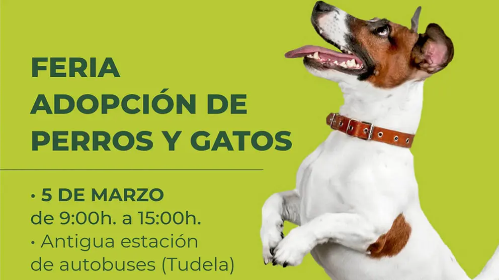 feria adopcion animales