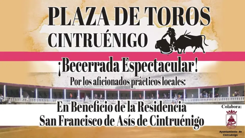 Becerrada en la Plaza de Toros de Cintruénigo