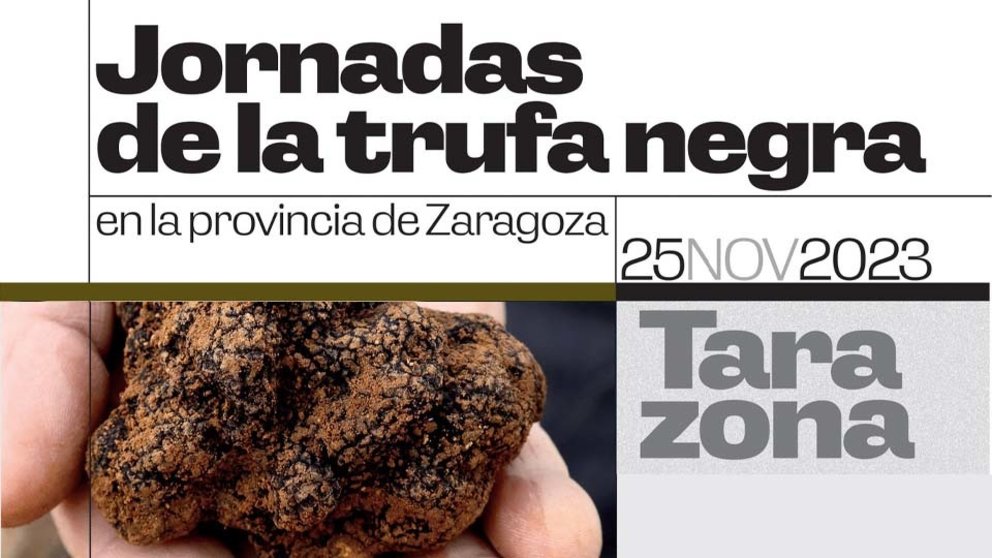 Jornadas de la trufa negra en Tarazona 2023