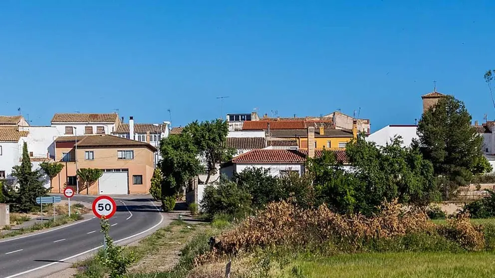 Barillas en la ribera de Navarra