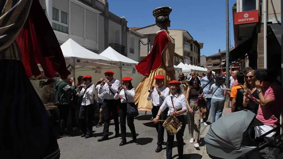Fotos D&iacute;a de las Asociaciones de Milagro 2025 (16)