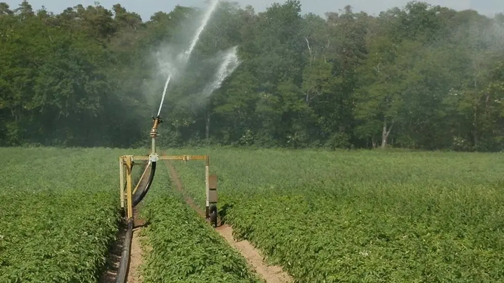 Concentración parcelaria en Corella. Foto. Ayto Corella