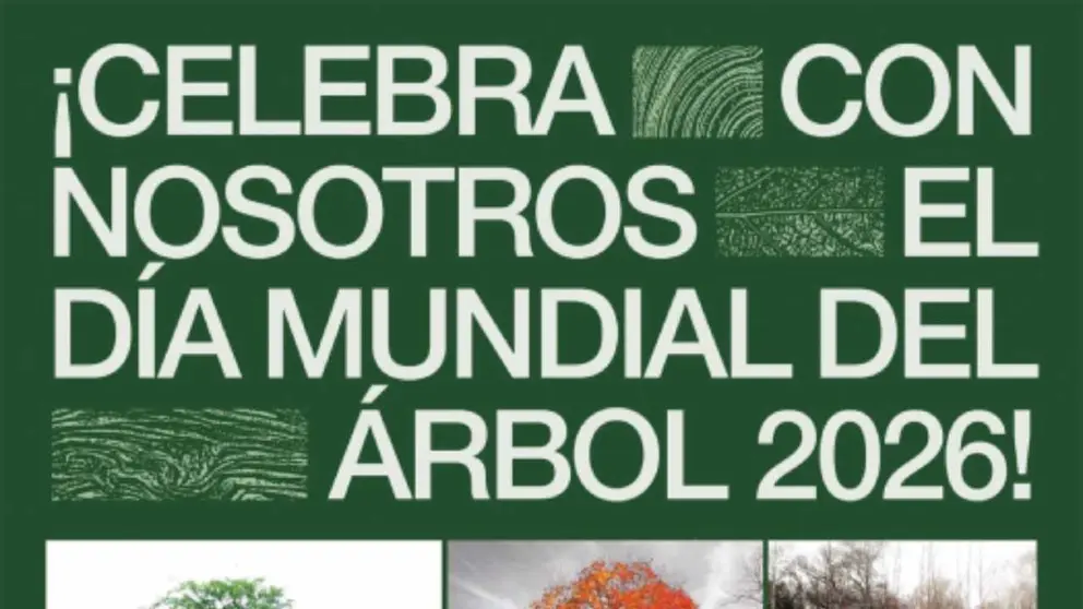 Programa D&iacute;a del &Aacute;rbol 2026