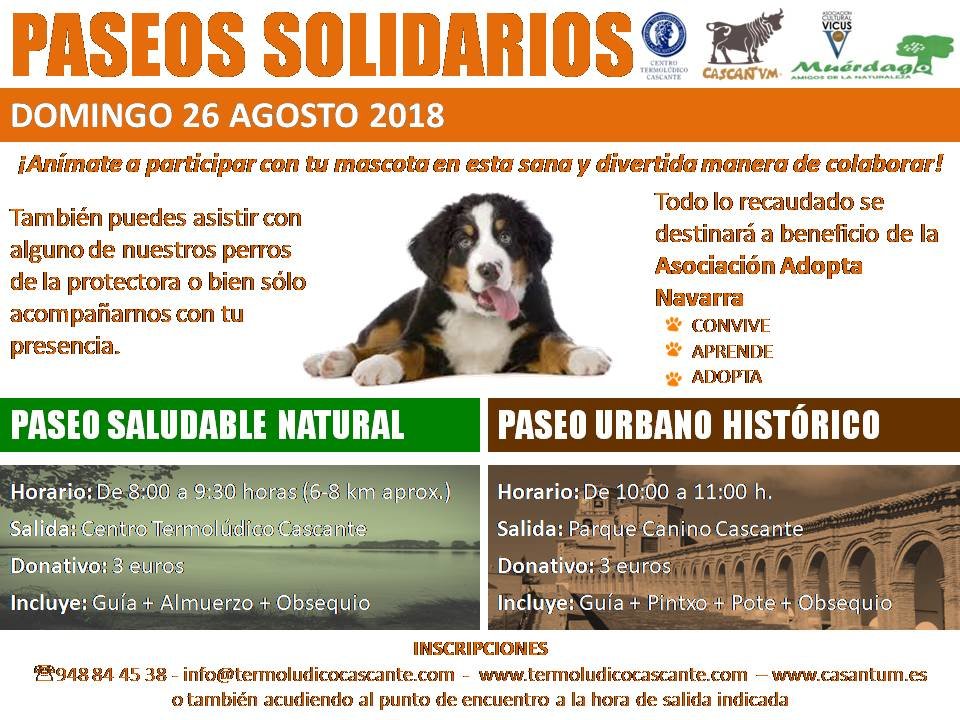 paseo canino 2