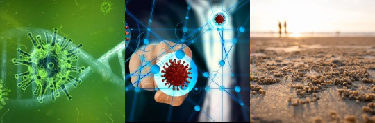 Cursos de verano uned 1