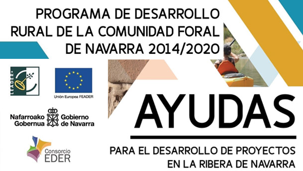 Ayudas al desarrollo en Navarra