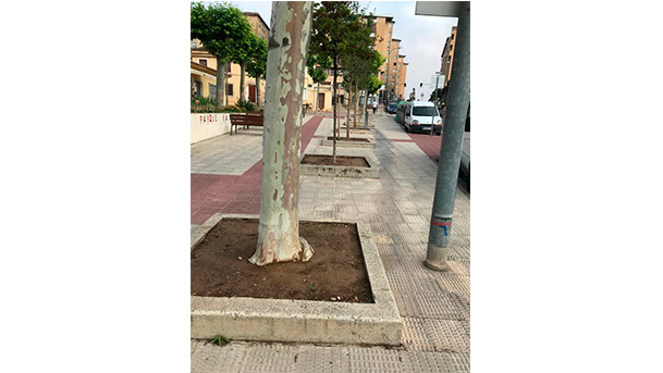 barrio lourdes barreras2