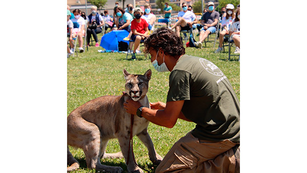 aula naturaleza corella4
