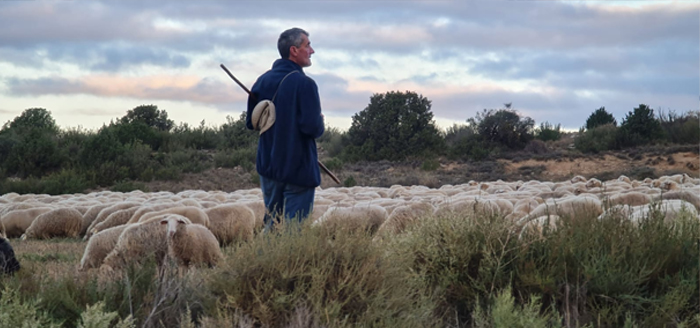 pastor trashumante