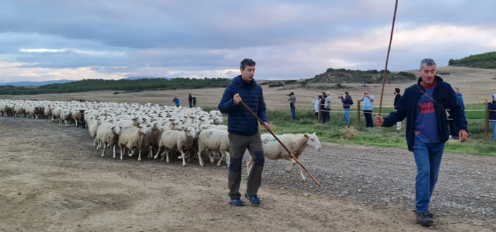pastores trashumnates bardenas 2021