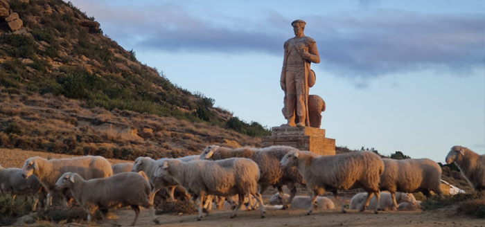 el paso 2021 bardenas