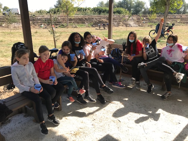 PARQUE ERASMUS DEL SOTILLO (6)