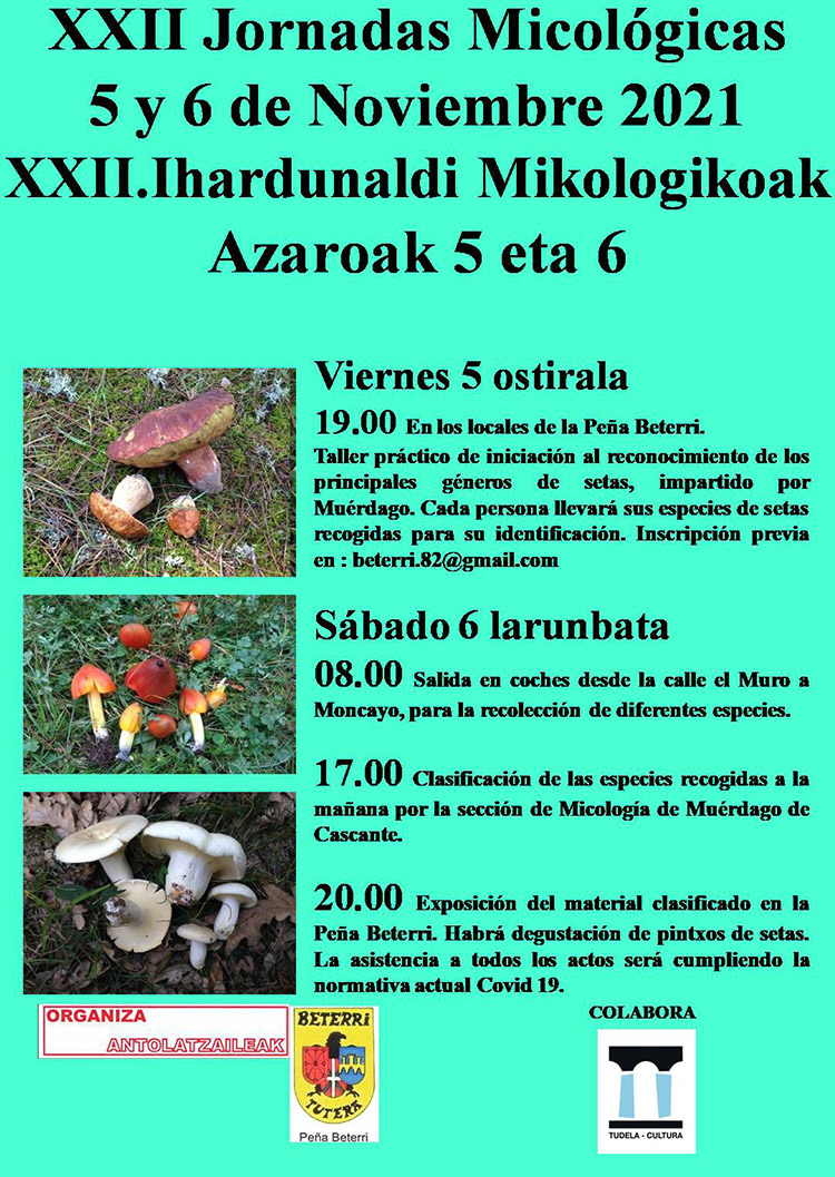 Jornadas micológicas Peña Beterri 2021