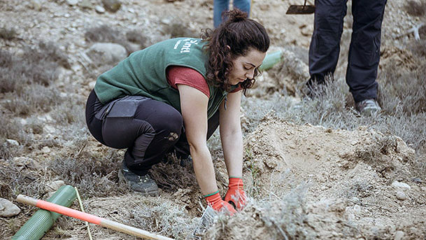 proyecto entorno sonoro3