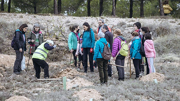 proyecto entorno sonoro4