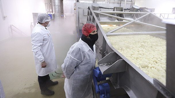 fustiñana congelados navarra4