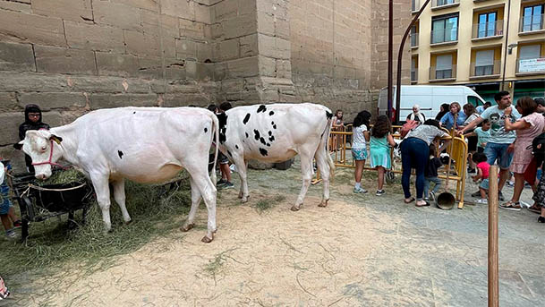 estaciones sonoras juvenil