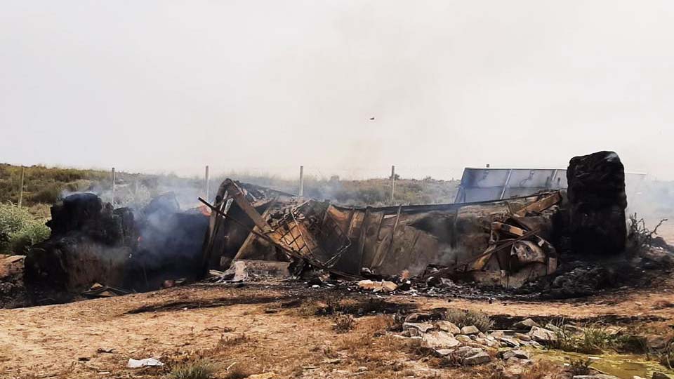 Hide del Muladar de Mainate