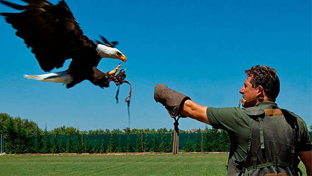 tierra rapaz calahorra