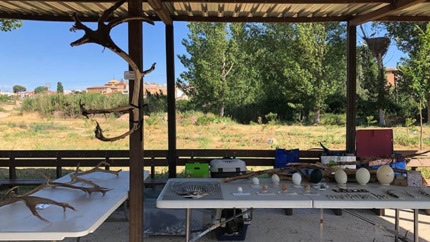 biciclistas corella finde semana medioambiental2