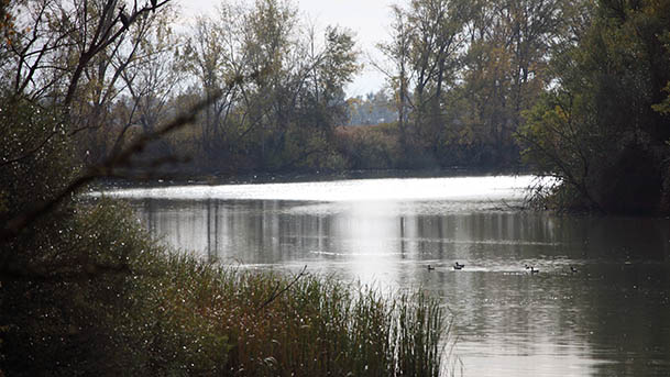 consorcio eder plan turismo5