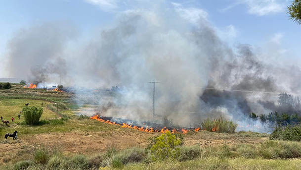 murchante san gregorio incendio2