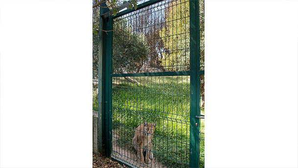 incendio bardenas sendaviva animales2